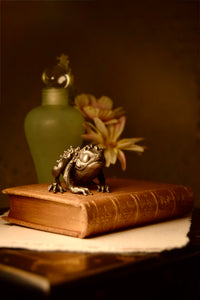 Philo Toad