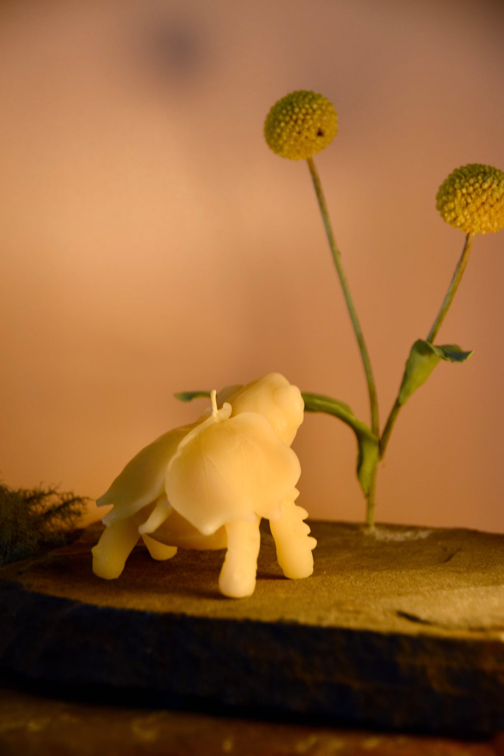 Mimesis Tortoise Candle