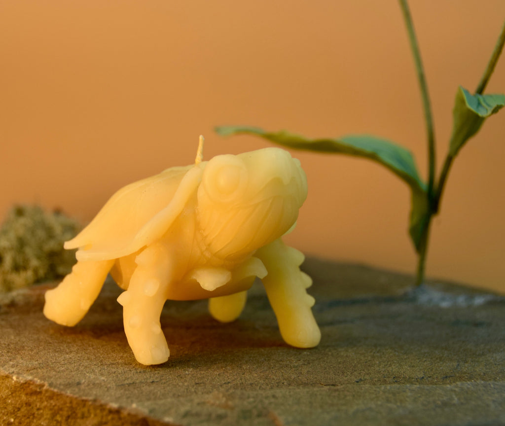 Mimesis Tortoise Candle