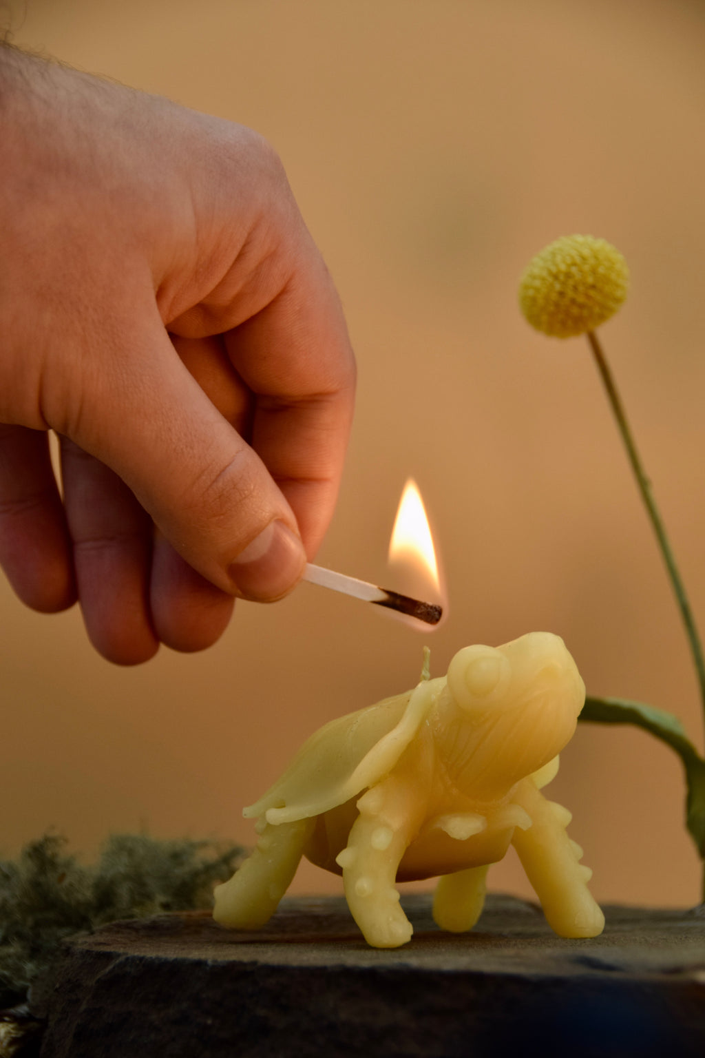 Mimesis Tortoise Candle