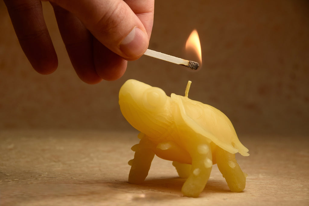 Mimesis Tortoise Candle