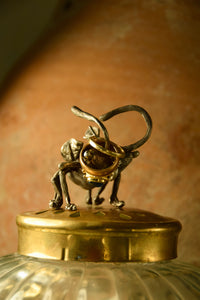 Treehopper