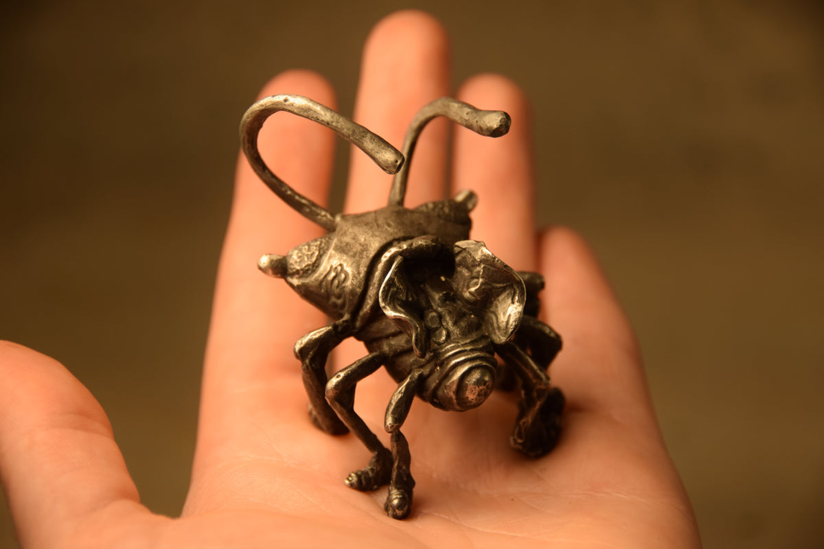Treehopper