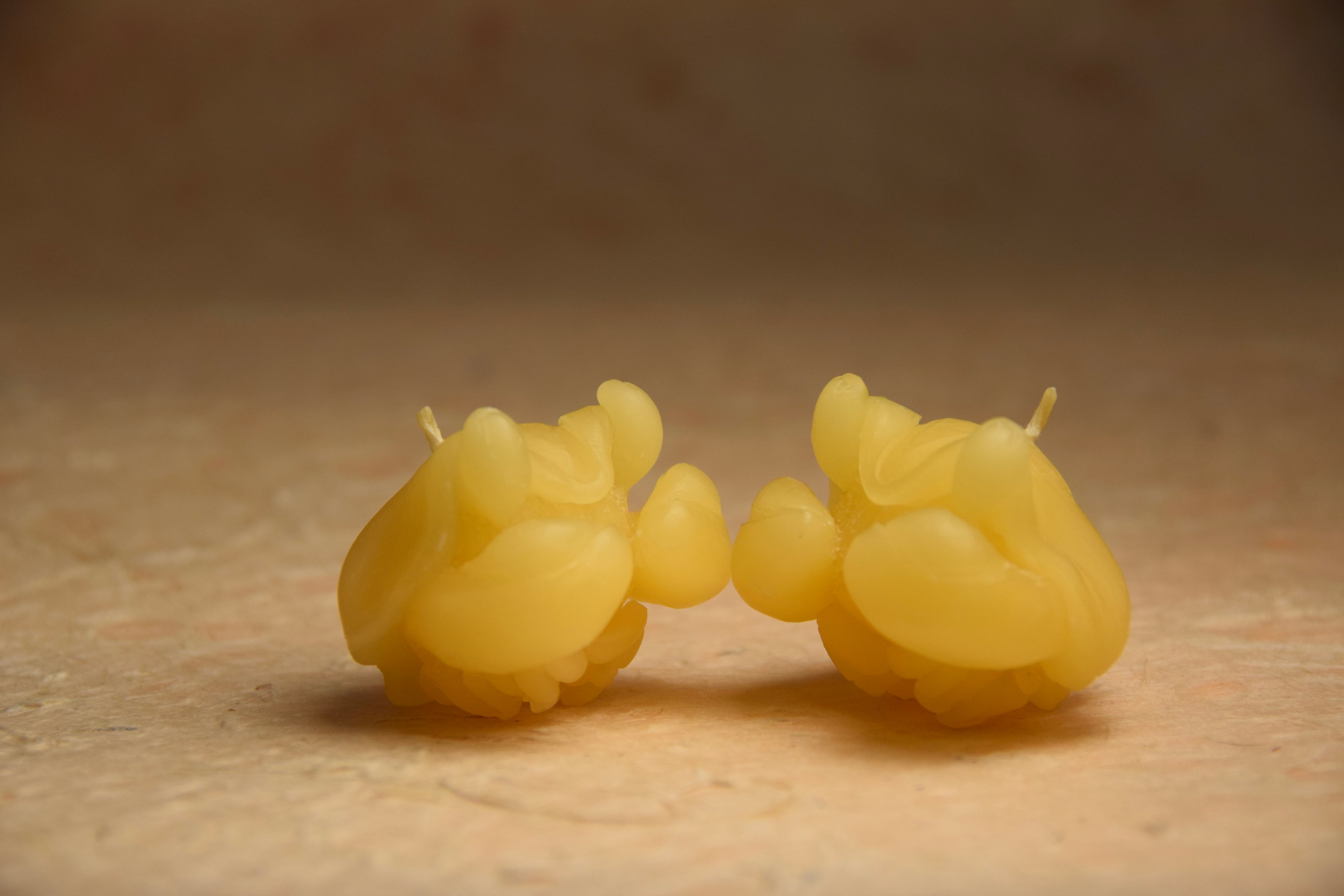 The Scalloped Shelled Crustacean Candle