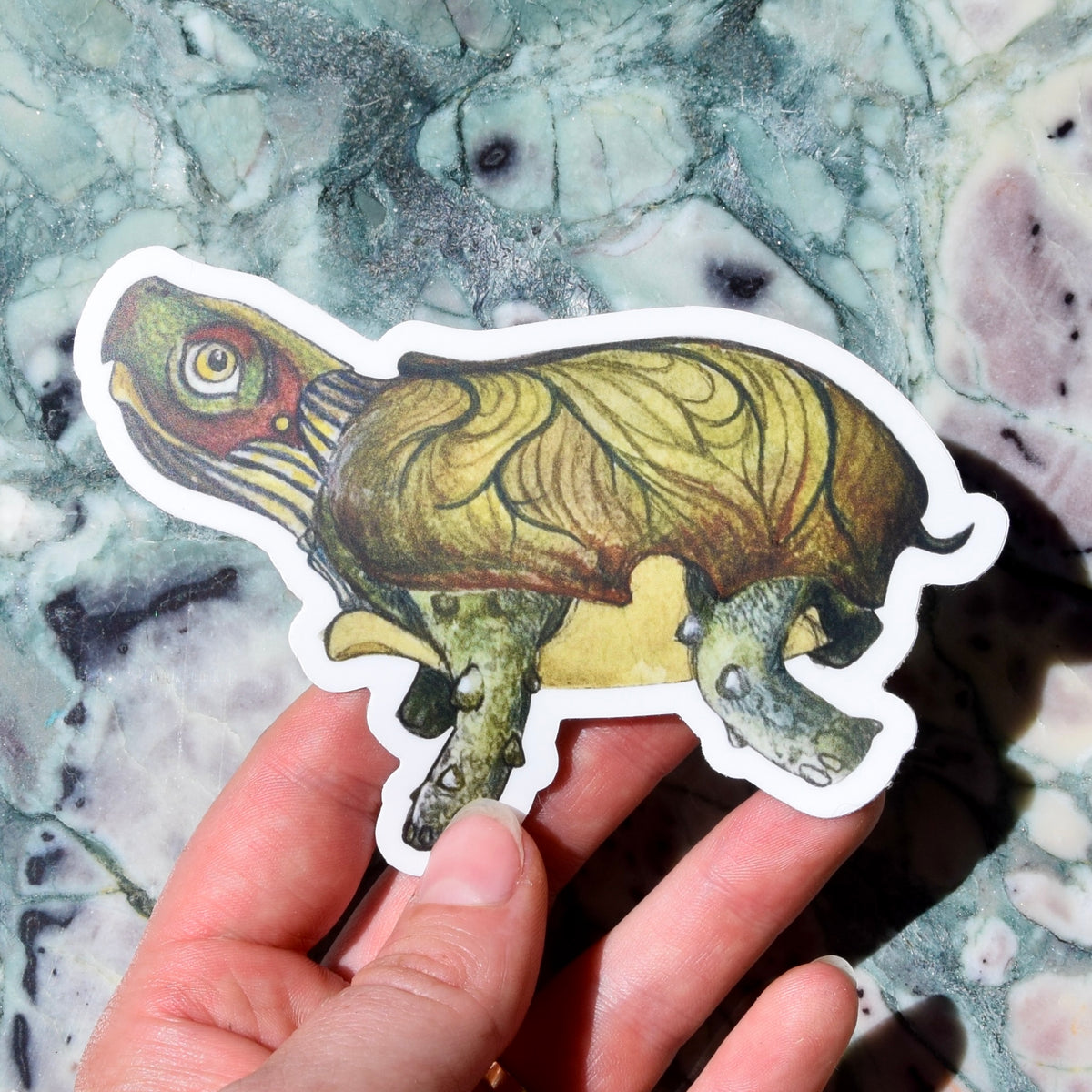 Build Your Own Specimen Pack
