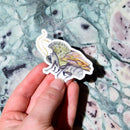Build Your Own Specimen Pack