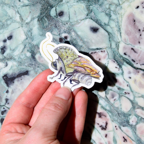Build Your Own Specimen Pack