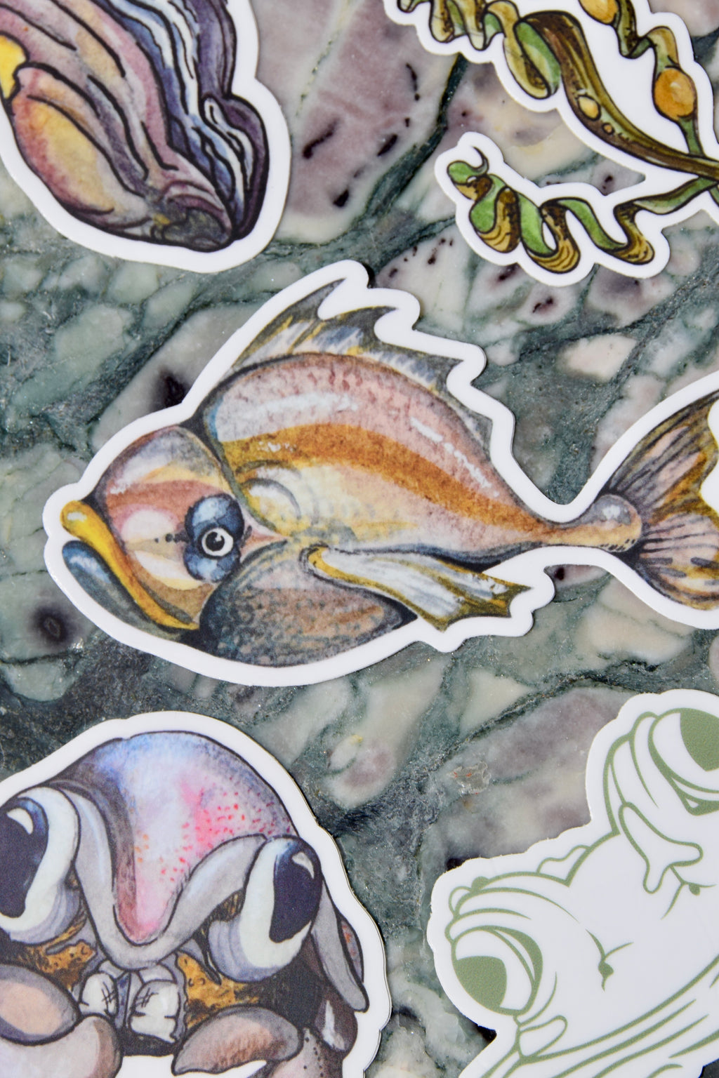 Sea Specimens