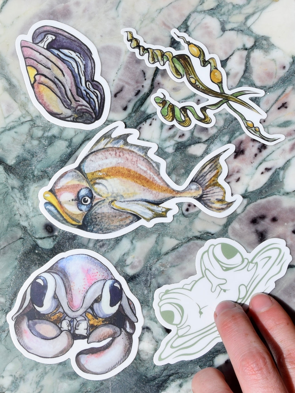Sea Specimens