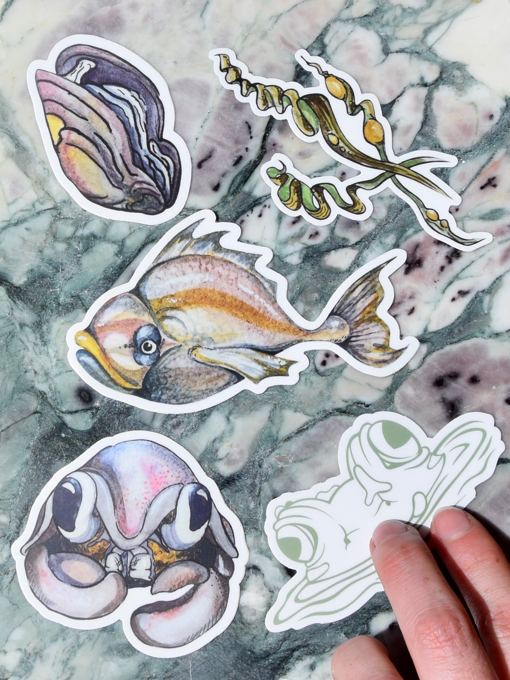 Sea Specimens
