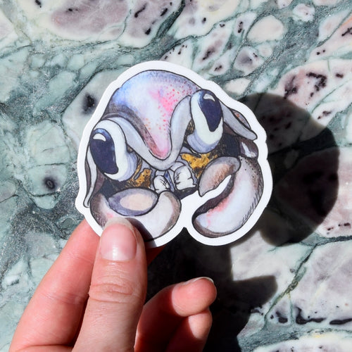 Single Specimen Sticker