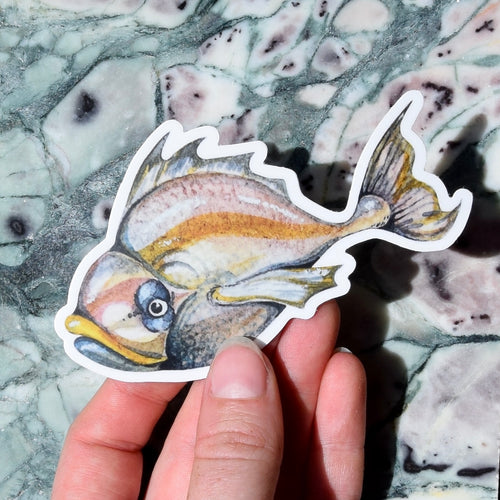Single Specimen Sticker