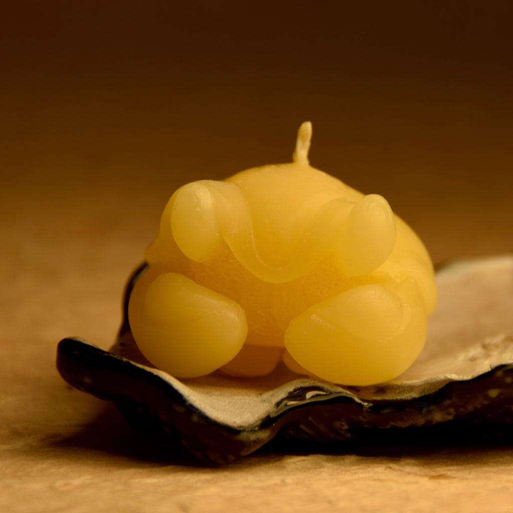 The Scalloped Shelled Crustacean Candle