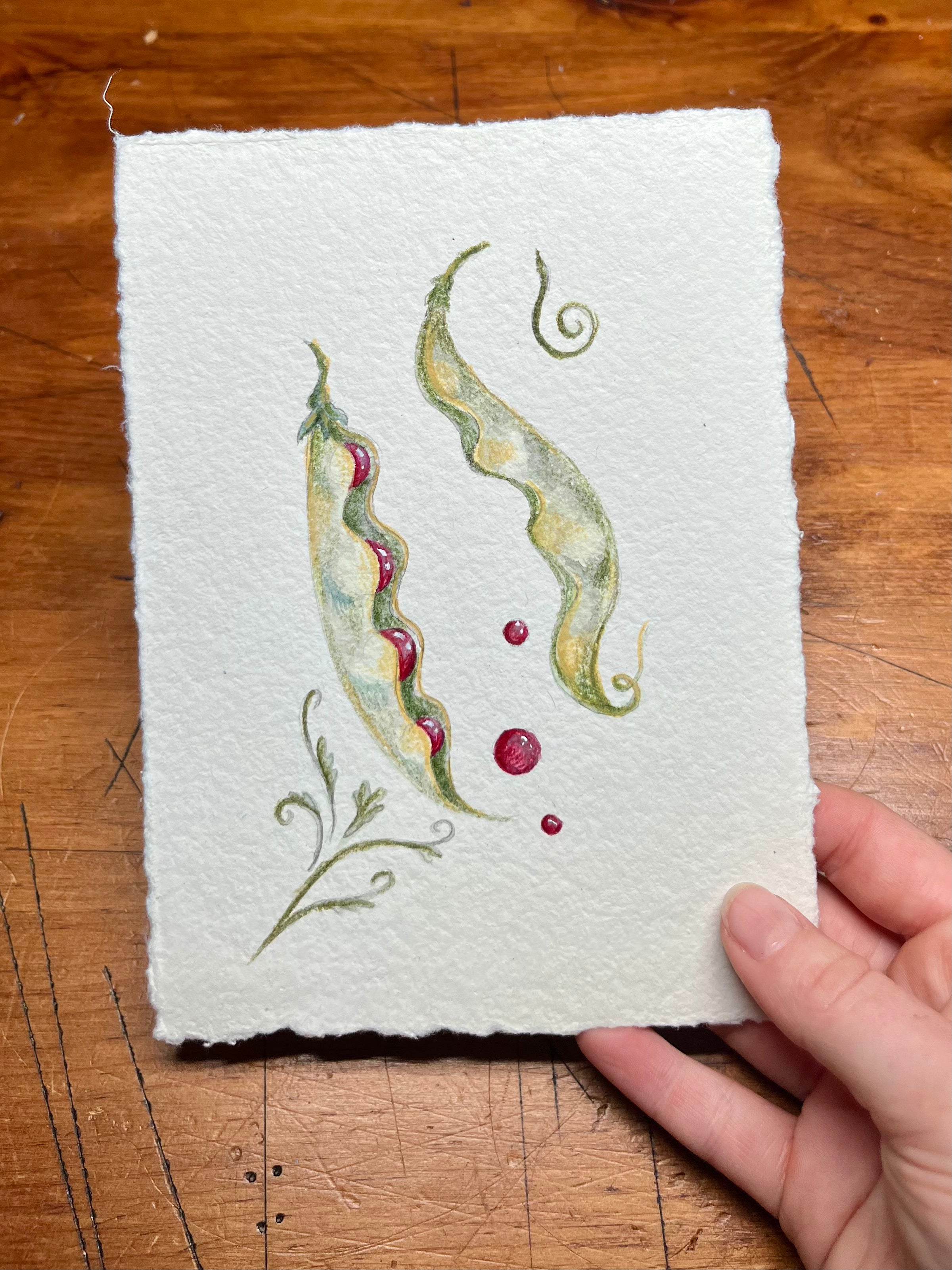 Print club, The Gilded Bog monthly illustration