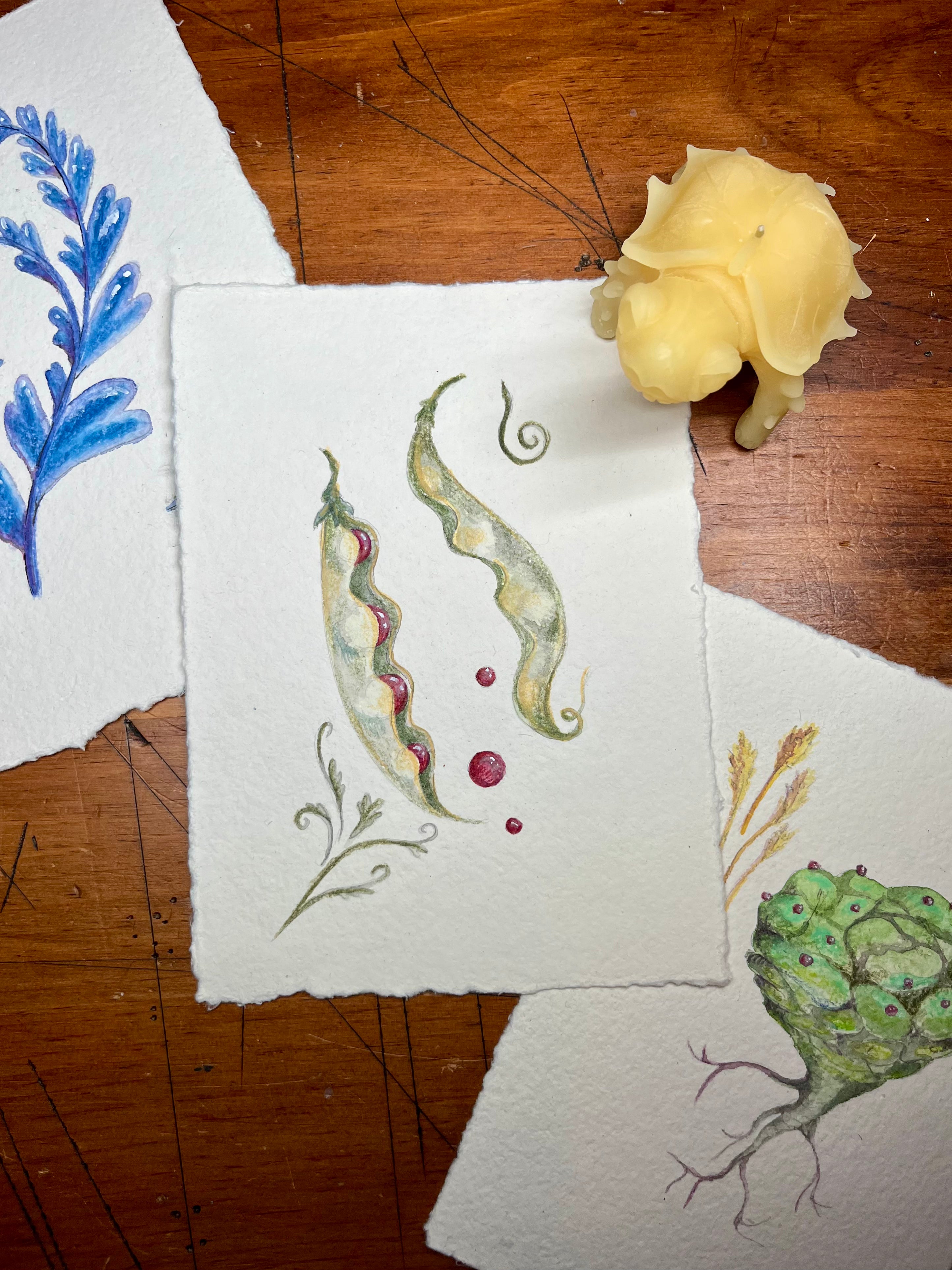 Print club, The Gilded Bog monthly illustration