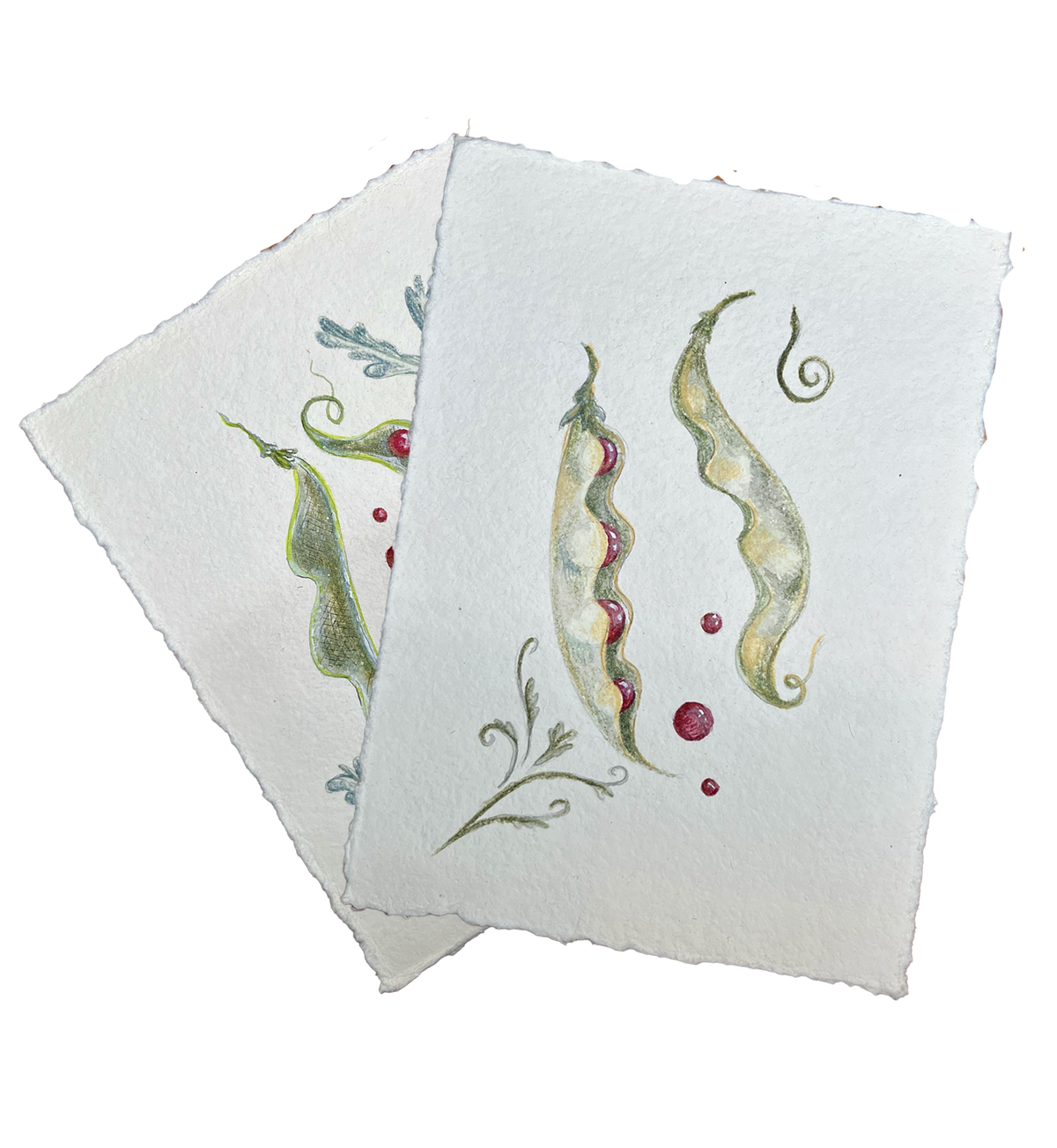 seedpod_and_blue_drawing_together.png